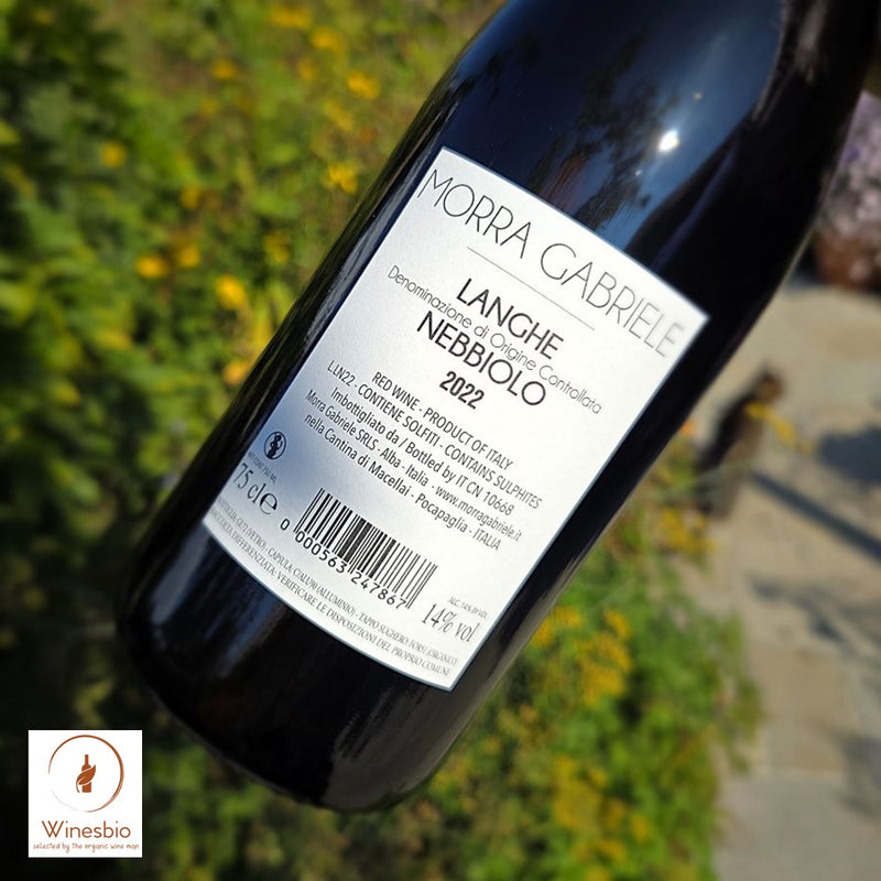 Morra Gabriele Langhe Nebbiolo 2022