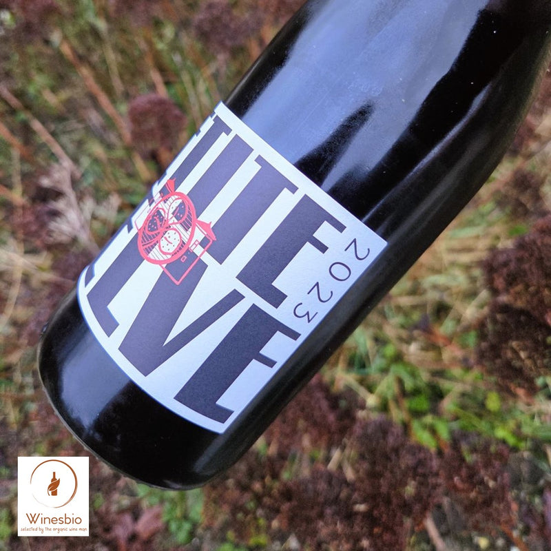 Château de la Selve Petite Selve rouge 2023