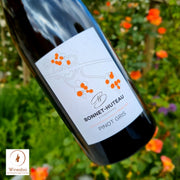 Domaine Bonnet-Huteau Pinot Gris