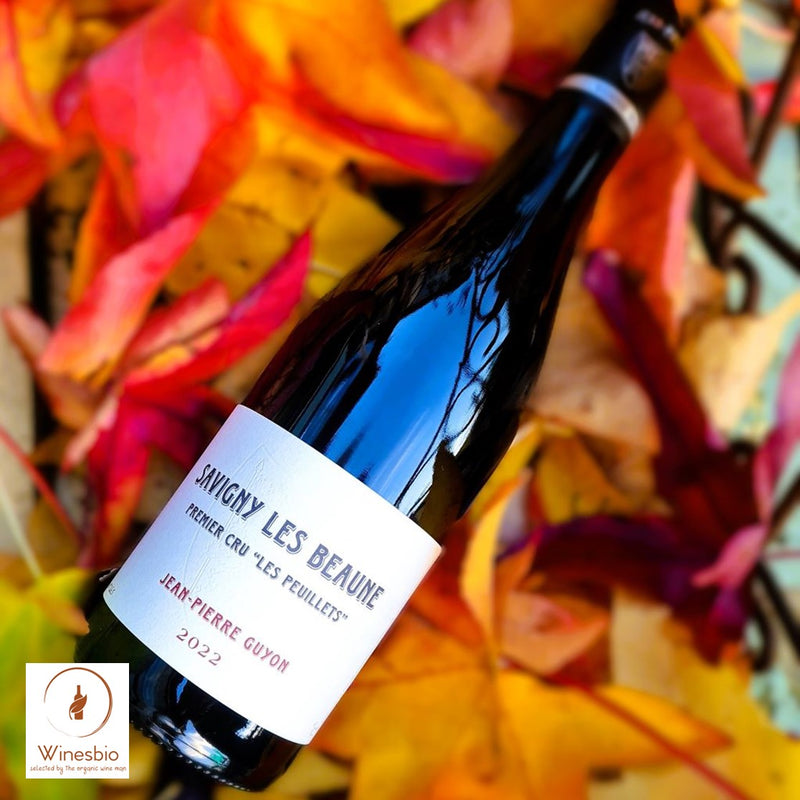 Domaine Jean-Pierre Guyon Savigny-lès-Beaune 1er Cru 'Les Peuillets' 2023