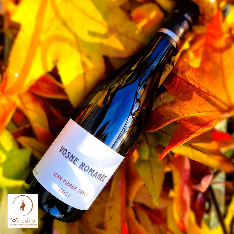 Domaine Jean-Pierre Guyon Vosne-Romanée 2024