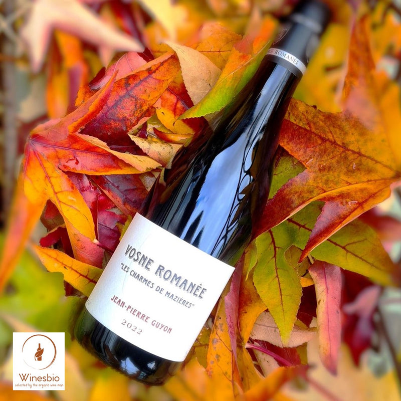 Domaine Jean-Pierre Guyon Vosne-Romanée 'Les Charmes de Mazières' 2024