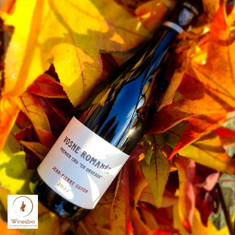 Domaine Jean-Pierre Guyon Vosne-Romanée Premier Cru 'En Orveaux' 2024