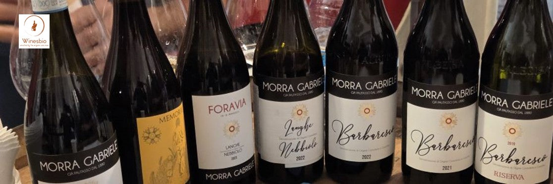 Morra Gabriele curated collection