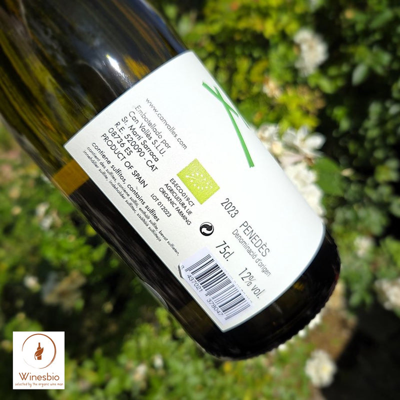 Can Vallés Xa Xa Xa 2023 Penedès white organic wine