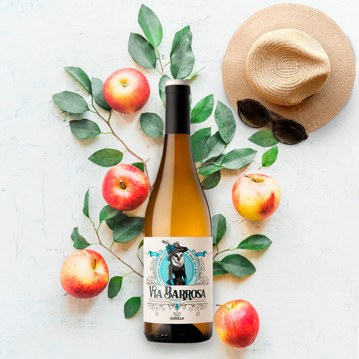 Viña Costeira Via Barrosa Godello