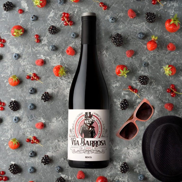 Viña Costeira Via Barrosa Mencia