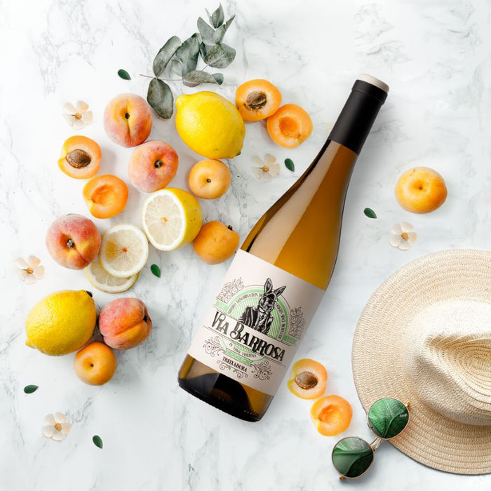 Viña Costeira Via Barrosa Treixadura 2024