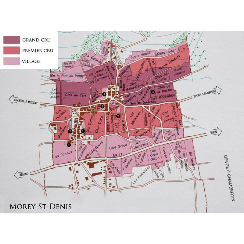 Domaine Jean-Pierre Guyon Morey-Saint-Denis 'La Bidaude' 2024 Blanc