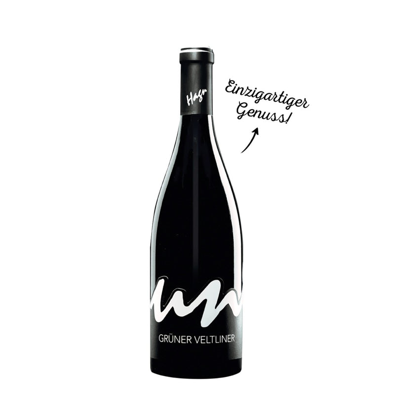 Weingut Hagn Unique Grüner Veltliner 2021